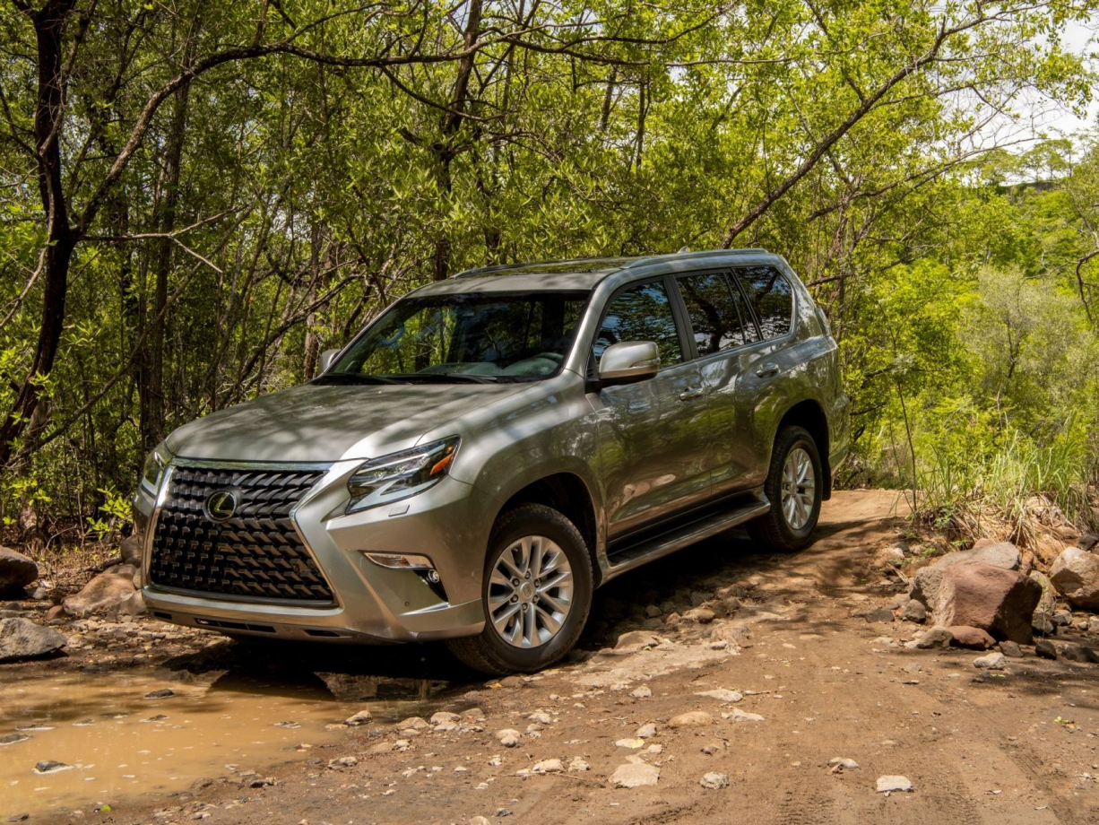 Lexus  Gx 460 Внедорожник класса J - фото 3